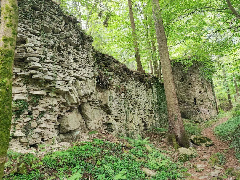 Ruine Neu-Leonroth, Sankt Martin am Wöllmißberg, Austria, Austria